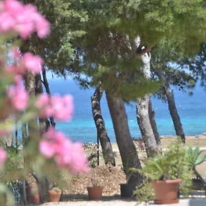 Pineta Sul Mare Castelluzzo